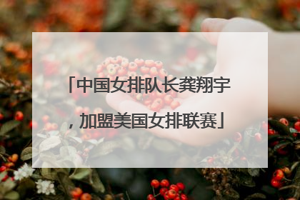 中国女排队长龚翔宇，加盟美国女排联赛