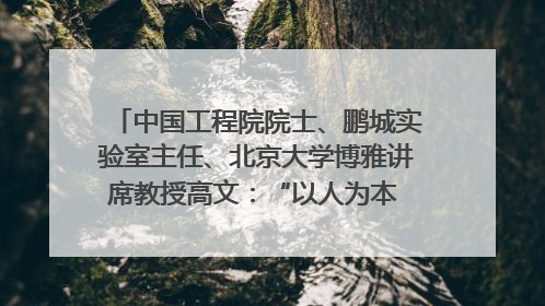 中国工程院院士、鹏城实验室主任、北京大学博雅讲席教授高文：“以人为本 智能向善” 推动文化与科技相生相促｜聚焦2025文化强国建设高峰论坛