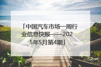 中国汽车市场一周行业信息快报——2025年5月第4期