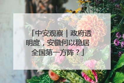 中安观察｜政府透明度，安徽何以稳居全国第一方阵？
