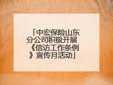 中宏保险山东分公司积极开展《信访工作条例》宣传月活动