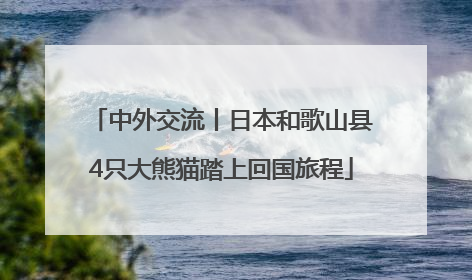中外交流丨日本和歌山县4只大熊猫踏上回国旅程