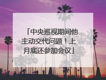 中央巡视期间他主动交代问题！上月底还参加会议