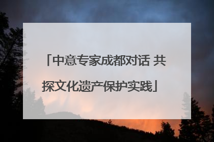 中意专家成都对话 共探文化遗产保护实践