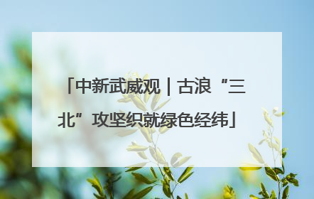 中新武威观｜古浪“三北”攻坚织就绿色经纬