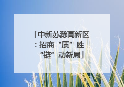 中新苏滁高新区：招商“质”胜 “链”动新局