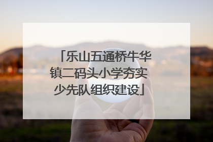 乐山五通桥牛华镇二码头小学夯实少先队组织建设