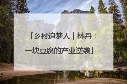 乡村追梦人｜林丹：一块豆腐的产业逆袭