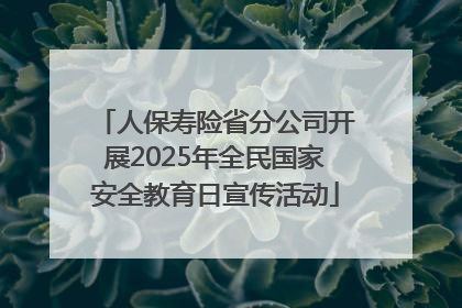人保寿险省分公司开展2025年全民国家安全教育日宣传活动