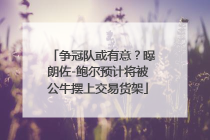 争冠队或有意？曝朗佐-鲍尔预计将被公牛摆上交易货架