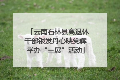 云南石林县离退休干部银发丹心映党辉举办“三展”活动