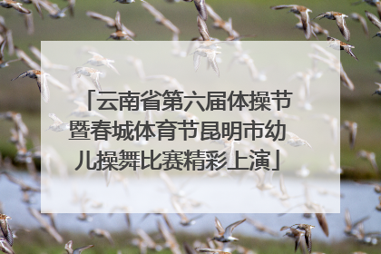 云南省第六届体操节暨春城体育节昆明市幼儿操舞比赛精彩上演