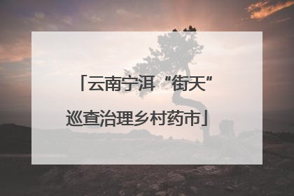 云南宁洱“街天”巡查治理乡村药市