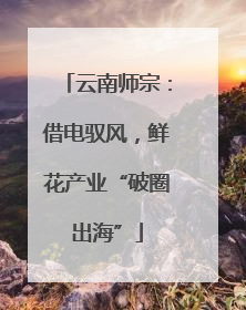 云南师宗：借电驭风，鲜花产业“破圈出海”
