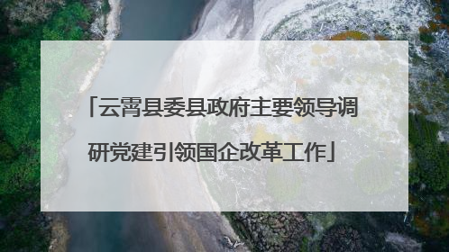 云霄县委县政府主要领导调研党建引领国企改革工作