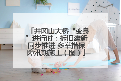 井冈山大桥“变身”进行时：拆旧建新同步推进 多举措保障汛期施工（图）
