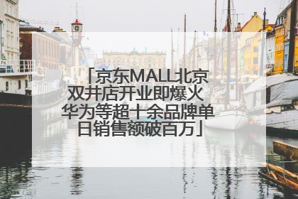 京东MALL北京双井店开业即爆火 华为等超十余品牌单日销售额破百万