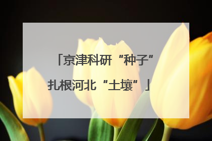 京津科研“种子”扎根河北“土壤”