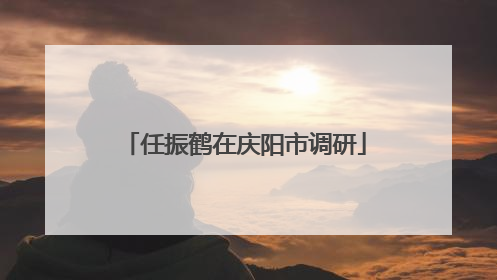 任振鹤在庆阳市调研