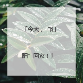 今天，“阳阳”回家！
