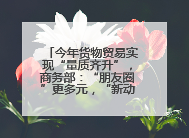 今年货物贸易实现“量质齐升”，商务部：“朋友圈”更多元，“新动能”加快集聚