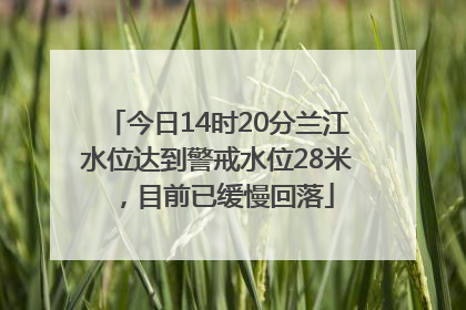 今日14时20分兰江水位达到警戒水位28米，目前已缓慢回落