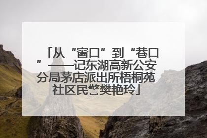 从“窗口”到“巷口”——记东湖高新公安分局茅店派出所梧桐苑社区民警樊艳玲
