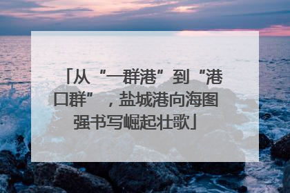 从“一群港”到“港口群”，盐城港向海图强书写崛起壮歌