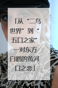从“二鸟世界”到“五口之家” 一对东方白鹳的黄河口之恋