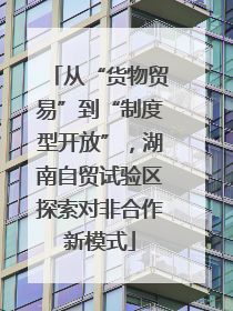 从“货物贸易”到“制度型开放”，湖南自贸试验区探索对非合作新模式