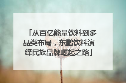 从百亿能量饮料到多品类布局，东鹏饮料演绎民族品牌崛起之路