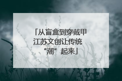 从盲盒到穿戴甲 江苏文创让传统“潮”起来