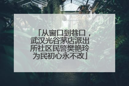 从窗口到巷口，武汉光谷茅店派出所社区民警樊艳玲为民初心永不改
