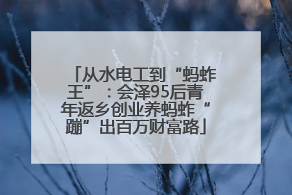 从水电工到“蚂蚱王”：会泽95后青年返乡创业养蚂蚱“蹦”出百万财富路
