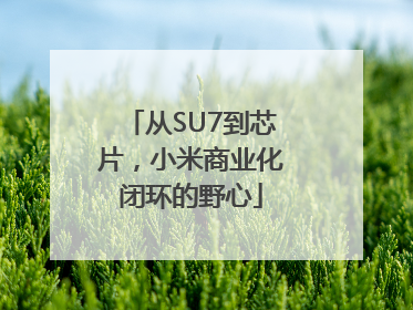 从SU7到芯片，小米商业化闭环的野心