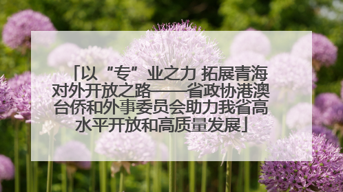 以“专”业之力 拓展青海对外开放之路——省政协港澳台侨和外事委员会助力我省高水平开放和高质量发展