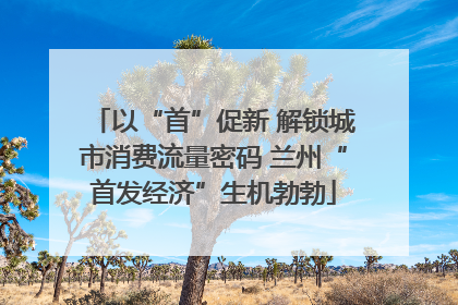 以“首”促新 解锁城市消费流量密码 兰州“首发经济”生机勃勃