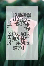 以数绘图，让海量信息“跑起来”——“绿色算力赋能青海实体经济”系列报道①