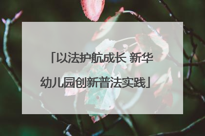 以法护航成长 新华幼儿园创新普法实践