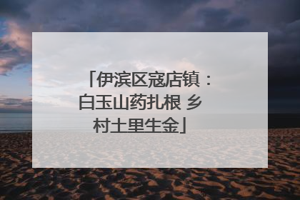 伊滨区寇店镇：白玉山药扎根 乡村土里生金