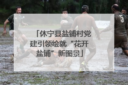 休宁县盐铺村党建引领绘就“花开盐铺”新图景