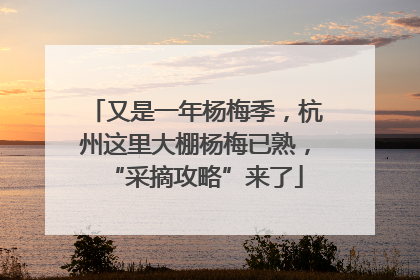 又是一年杨梅季，杭州这里大棚杨梅已熟，“采摘攻略”来了