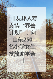 友邦人寿支持“春蕾计划”，向山东250名小学女生发放助学金