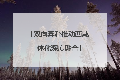 双向奔赴推动西咸一体化深度融合