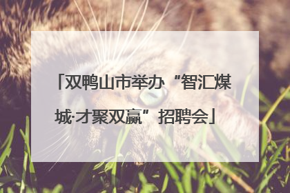 双鸭山市举办“智汇煤城·才聚双赢”招聘会