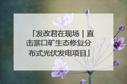 发改君在现场｜直击寨口矿生态修复分布式光伏发电项目