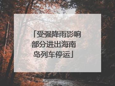 受强降雨影响 部分进出海南岛列车停运