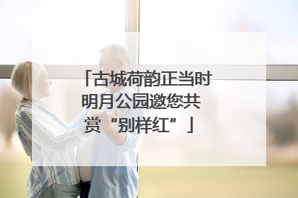 古城荷韵正当时 明月公园邀您共赏“别样红”