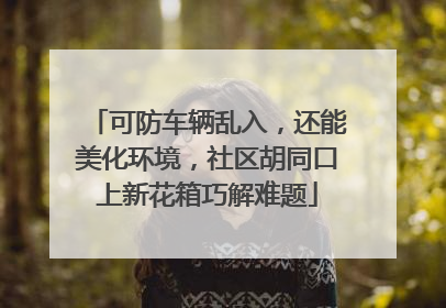 可防车辆乱入，还能美化环境，社区胡同口上新花箱巧解难题