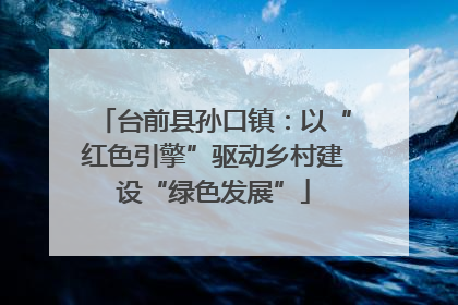 台前县孙口镇：以“红色引擎”驱动乡村建设“绿色发展”